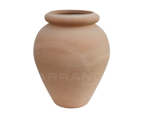 Orcio Liscio